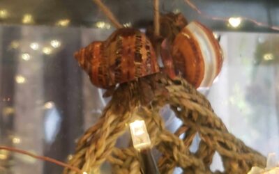 20210425_125316-scaled